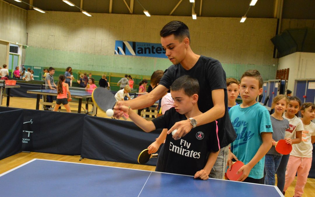 Tennis de table