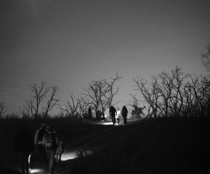 La nuit tombe, la randolune s’élance