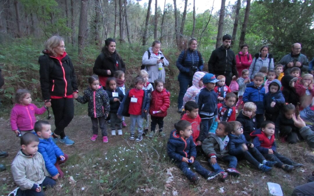 Souvenirs de rencontres : le cri du hibou