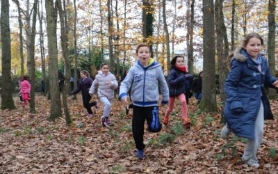 Trois propositions de rencontres sportives scolaires sans brassage des classes