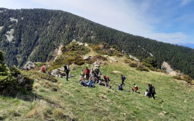 Soif de nature et de plein air