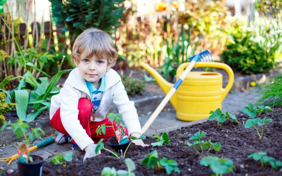 Cultiver son jardin à la récré