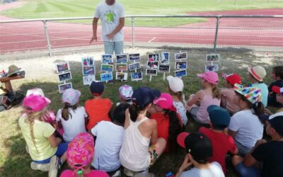 Dans la Nièvre, un millier d’enfants pour une Journée olympique extensible